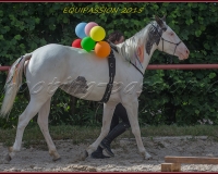 1-13JUIN 1236